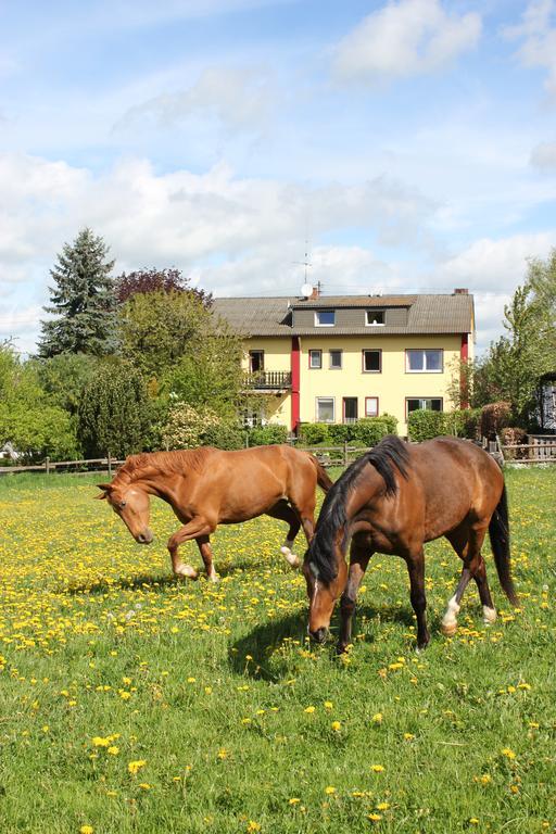 Hotel Landhaus Neuhof Виршем Экстерьер фото